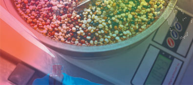 Index [msb.intnet.mu]